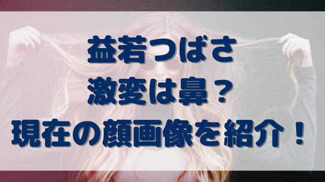 益若つばさ激変は鼻？現在の顔画像を紹介！