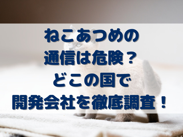 ねこあつめの通信は危険？どこの国で開発会社を徹底調査！