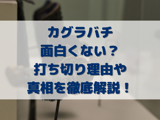 カグラバチ面白くない？打ち切り理由や真相を徹底解説！